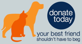 Donate Today: Your best friend shouldn't have to beg.